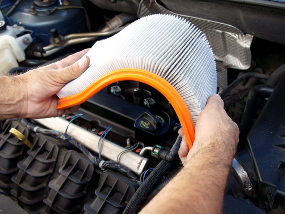 Regeneración automática